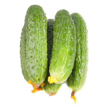 新鮮黃瓜