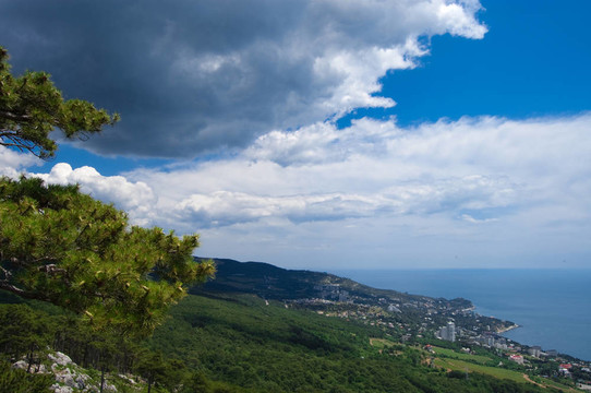 AI Petri山