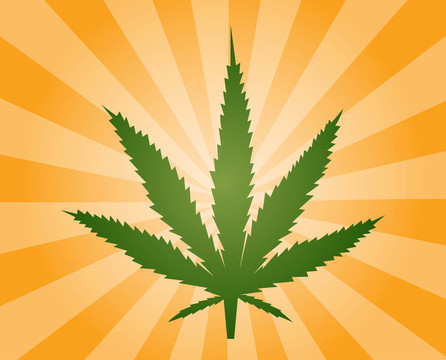 大麻葉插圖