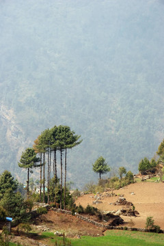 珠穆朗瑪峰步道景觀；Himalayas；尼泊爾