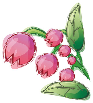 郁金香的花朵