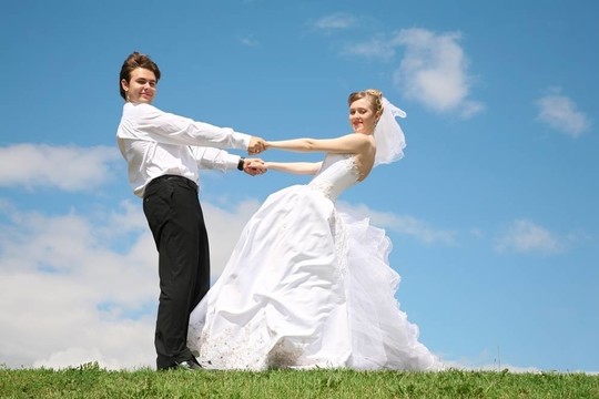 未婚夫與新娘他們互相握著手的草地2