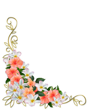 熱帶花卉角設(shè)計(jì)
