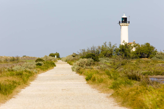 gacholle燈塔；公園區(qū)域de Camargue；普羅旺斯；法國(guó)