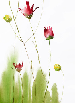 畫的花