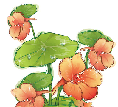花