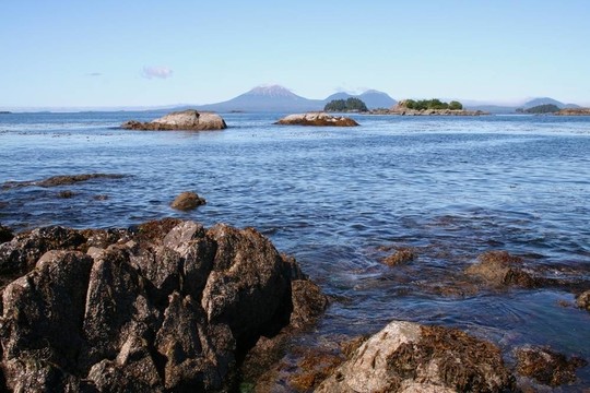 多巖石的海岸與山Edgecumbe火山