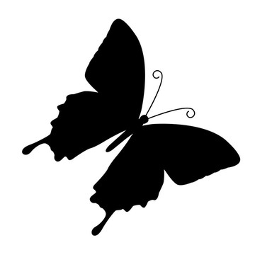 蝴蝶。插畫(huà)