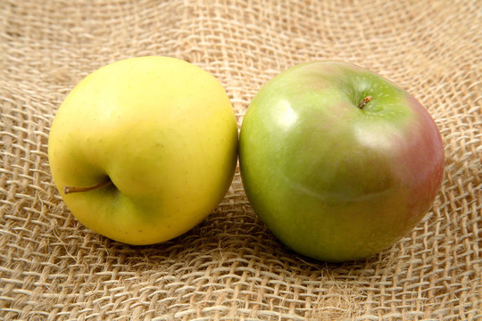 黃色和綠色的蘋(píng)果黃色的一對(duì)蘋(píng)果
