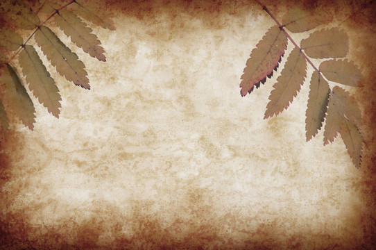 摘要垃圾紋理背景