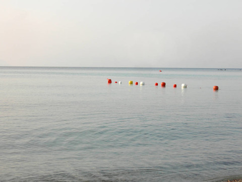 海