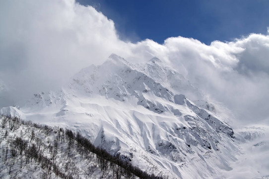 山