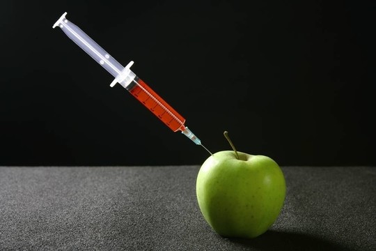 蘋果果實(shí)研究隱喻
