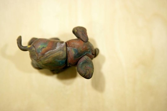 橡皮泥棕色的狗在楓木