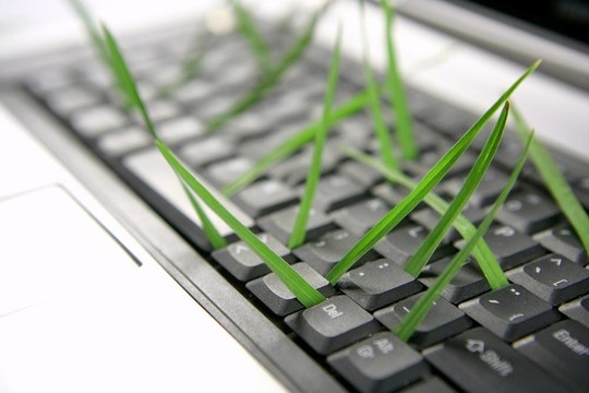 計算機鍵盤草；隱喻