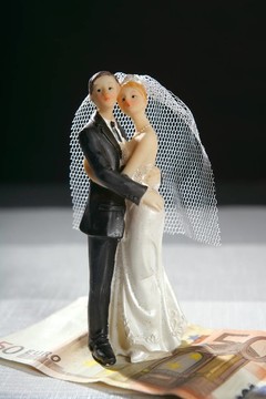 新婚夫妇雕像和欧元的钞票