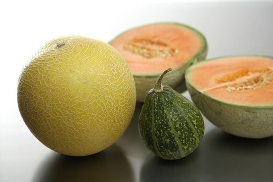兩個(gè)甜瓜水果和南瓜