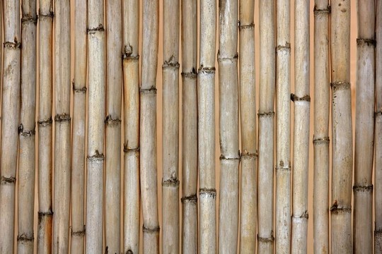 干甘蔗紋理；典型Mediterranean