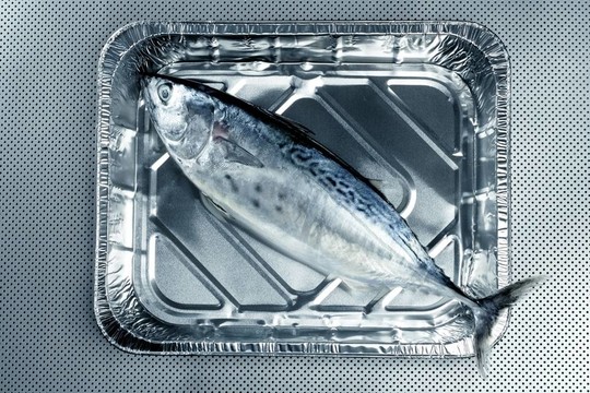 小金槍魚；金槍魚；阿爾比；金槍魚；銀色。