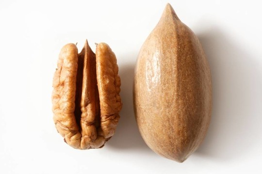 在白色的山核桃堅(jiān)果殼