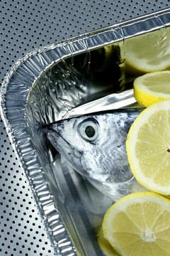 小金槍魚；金槍魚；阿爾比；金槍魚；銀色。