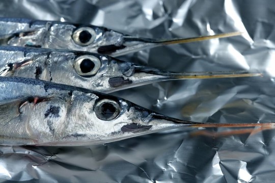 三針魚；生宏工作室拍攝