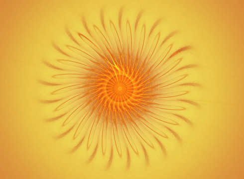 橙花的分形