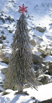 下雪天的圣誕紅星