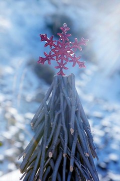 下雪天的圣誕紅星