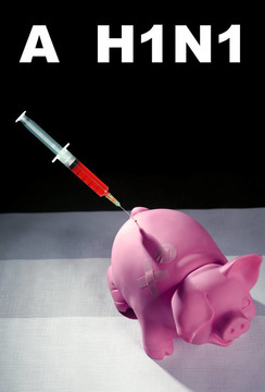 注射到豬甲型H1N1流感疫苗；