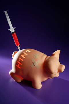 注射到豬甲型H1N1流感疫苗；