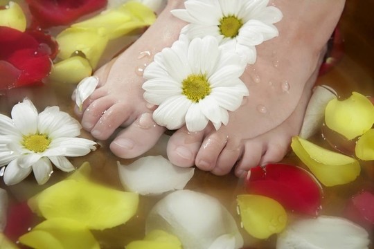 芳香療法；花玫瑰的花瓣浴足；