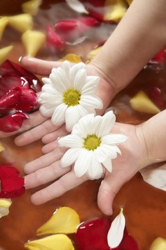 芳香療法；花手??；玫瑰花瓣