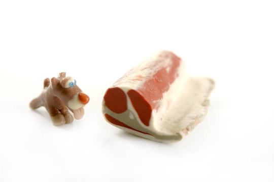 手工制作的餓狗吃的肉泥；