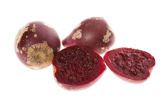 仙人掌（Opuntia ficus-indica）紅色水果