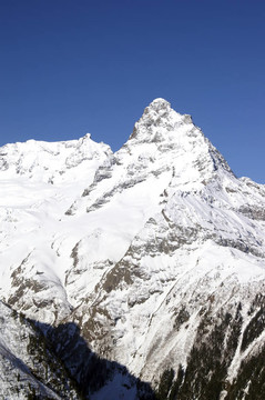 山