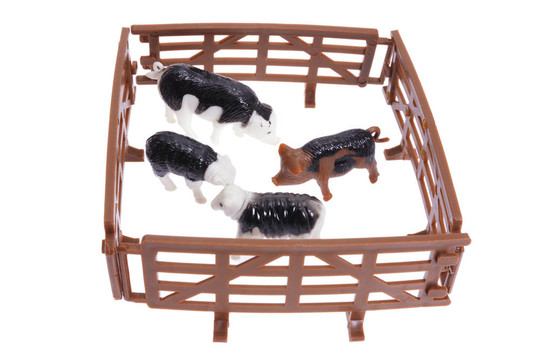 小型農(nóng)場的動物