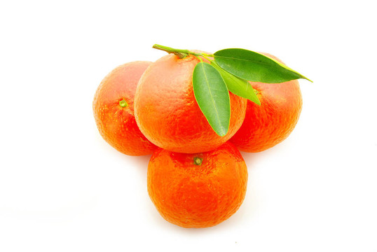 Tangerine夜店