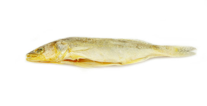 羅奇魚