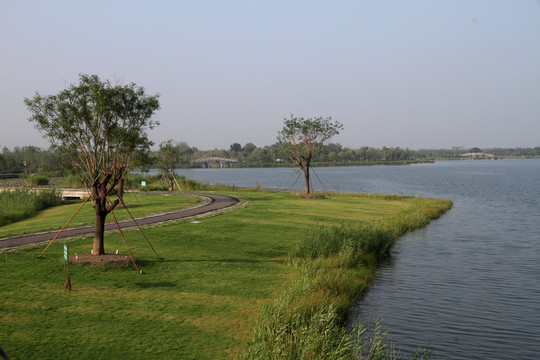 濕地公園