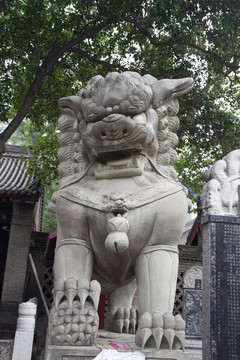 石獅子 西安大興善寺