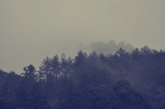 老照片三清山