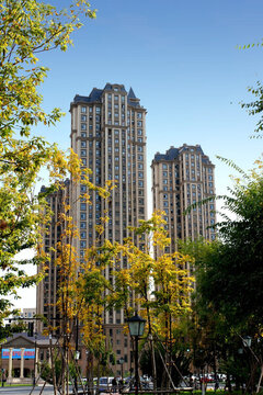 大慶建筑 創(chuàng)業(yè)城 樓房 小區(qū)