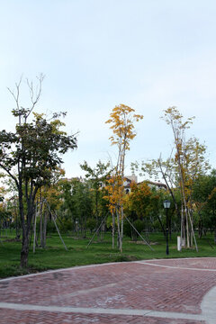 大慶建筑 創(chuàng)業(yè)城