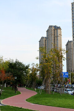 大慶建筑 創(chuàng)業(yè)城 樓房