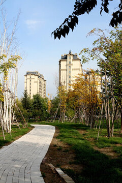 大慶建筑 創(chuàng)業(yè)城
