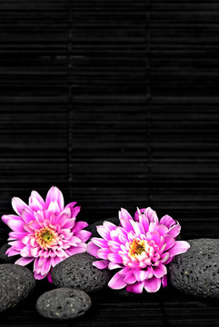 花和卵石