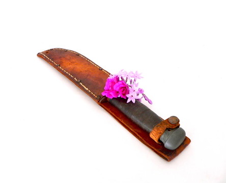 保衛(wèi)夫人的武器