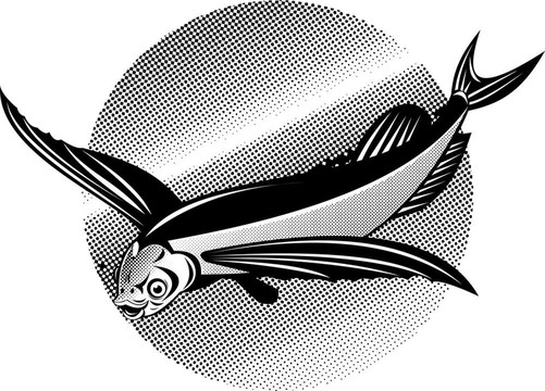 會飛的魚