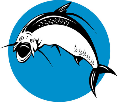 大海鰱魚(yú)跳